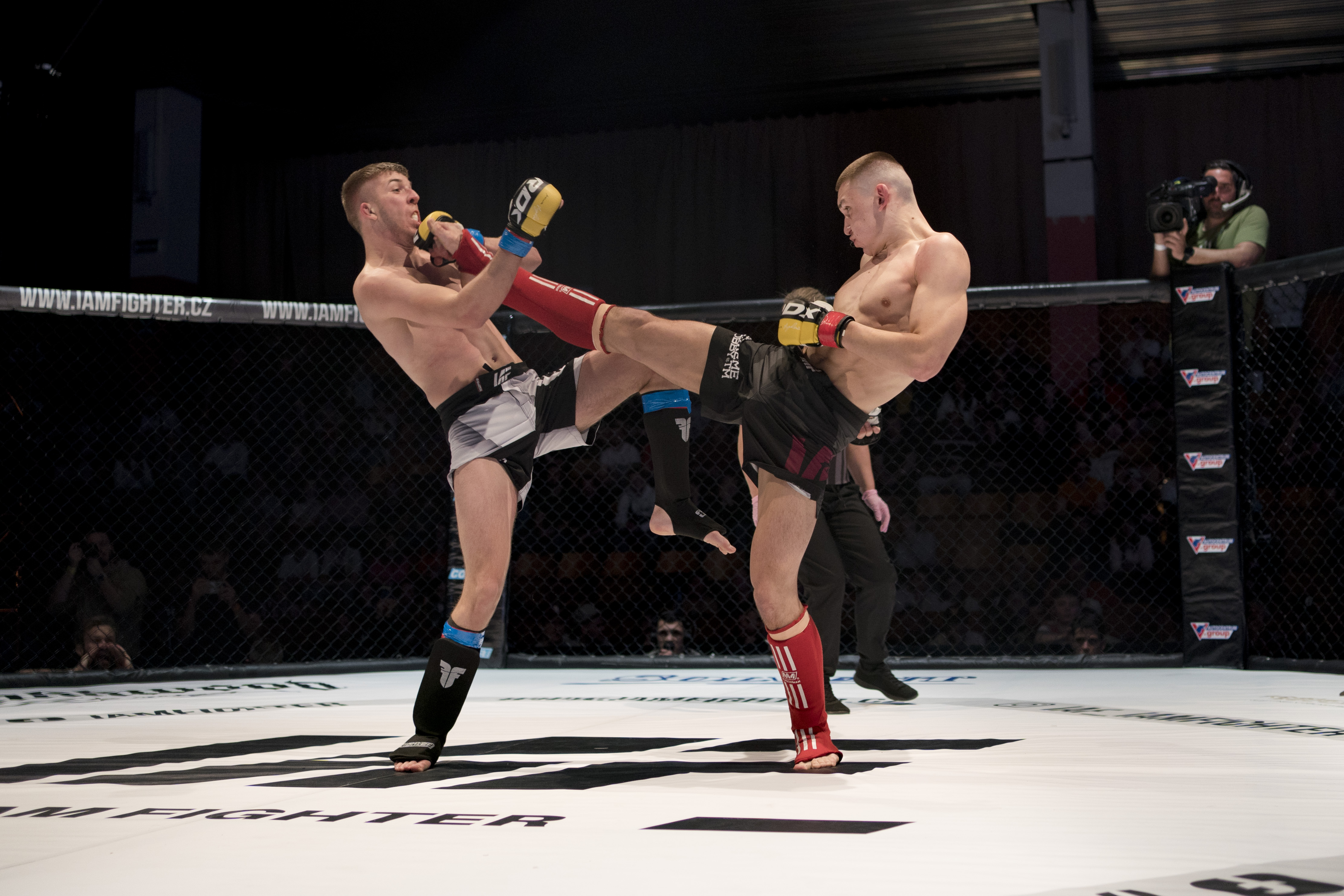 Noc v�le�n�k� 2024 M